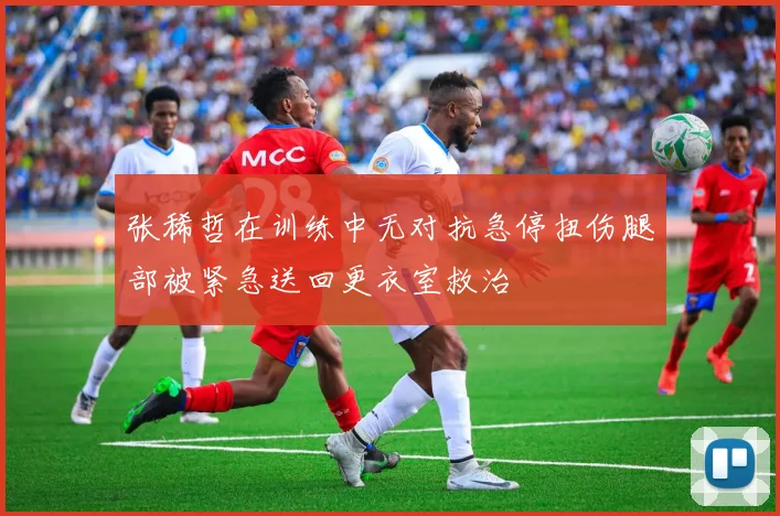 张稀哲在训练中无对抗急停扭伤腿部被紧急送回更衣室救治